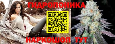эйфоретик Бузулук