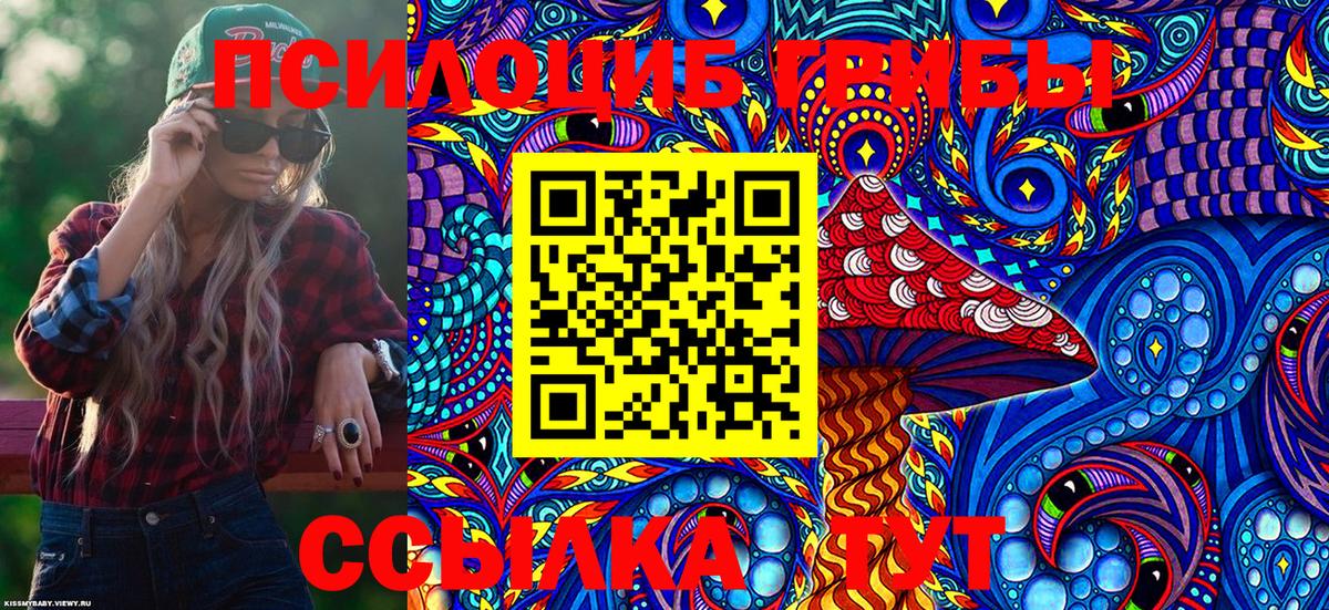 Санкт-Петербург  Псилоцибиновые грибы MAGIC MUSHROOMS  Вход с VPN  Псилоцибиновые грибы Magic Shrooms 
