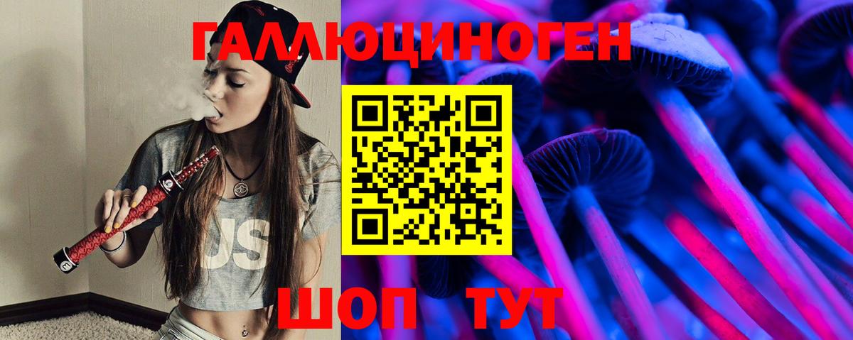 Псилоцибиновые грибы мицелий Санкт-Петербург